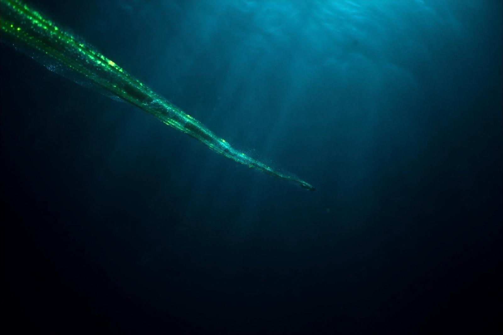Câble sous-marin de fibre optique reposant au fond de l'océan